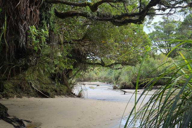 Kahurangi National Park